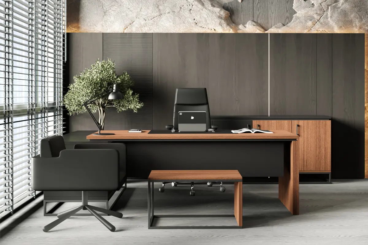 bose-yonetici-takimi Çalışma Odası Takımı - Görsel 1